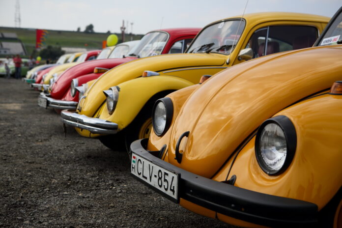 Volkswagen-találkozó