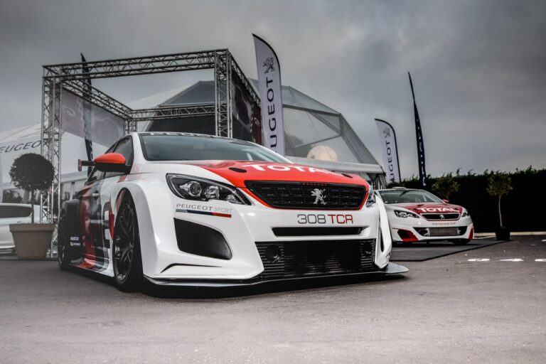 Peugeot 308 TCR