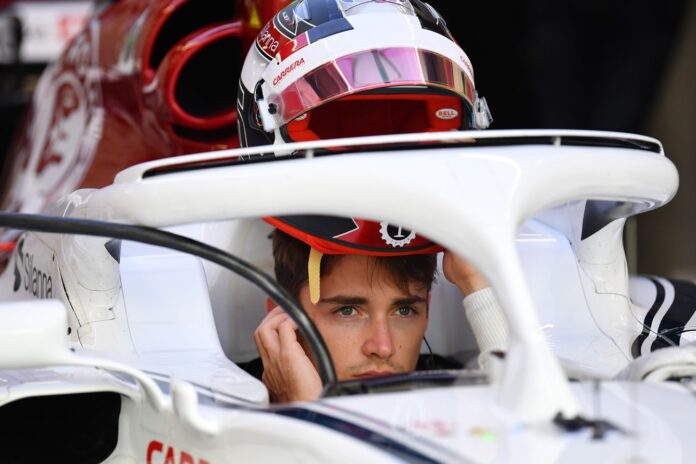 Leclerc, Sauber, halo
