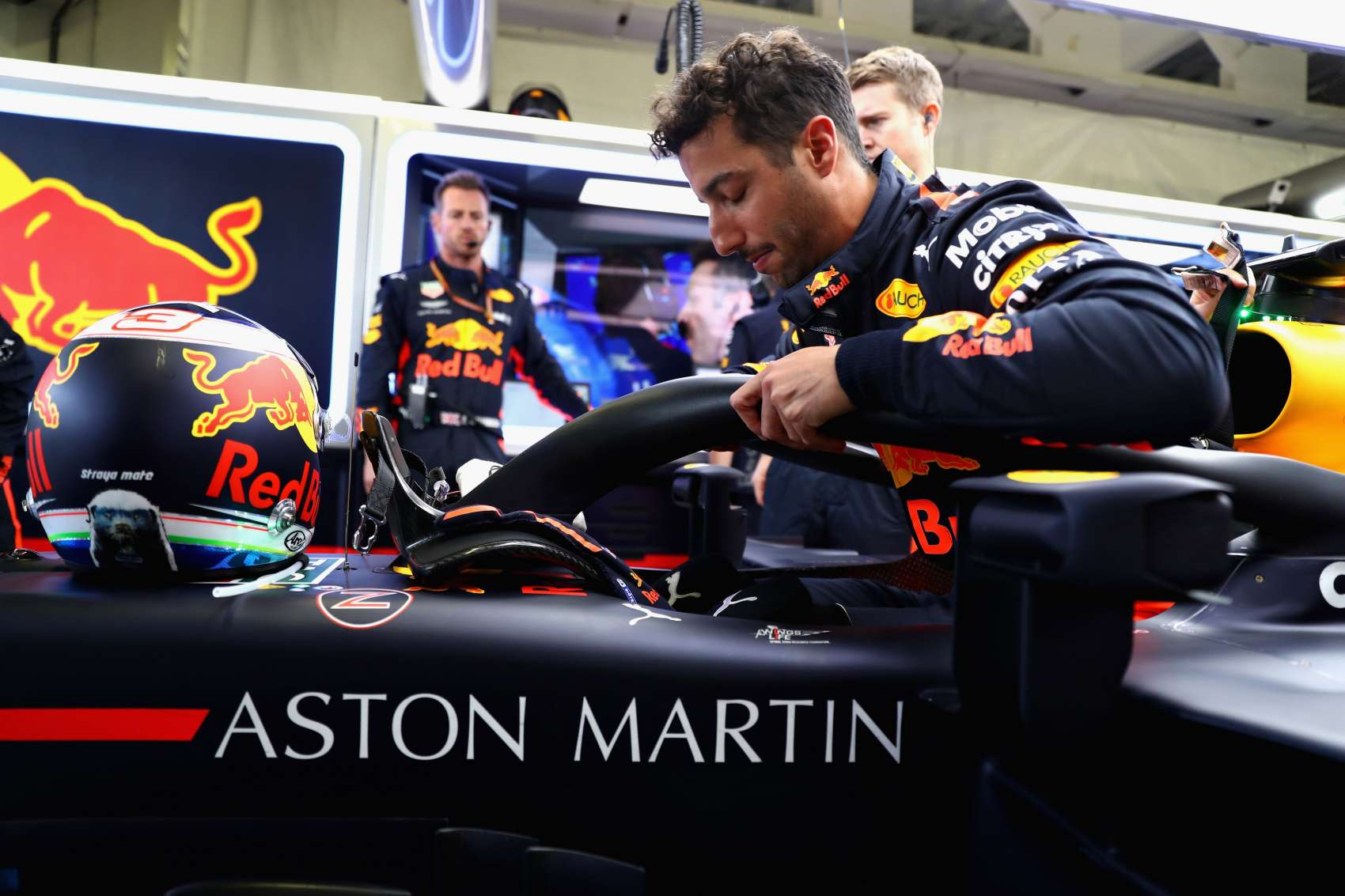 Ricciardo, Racingline