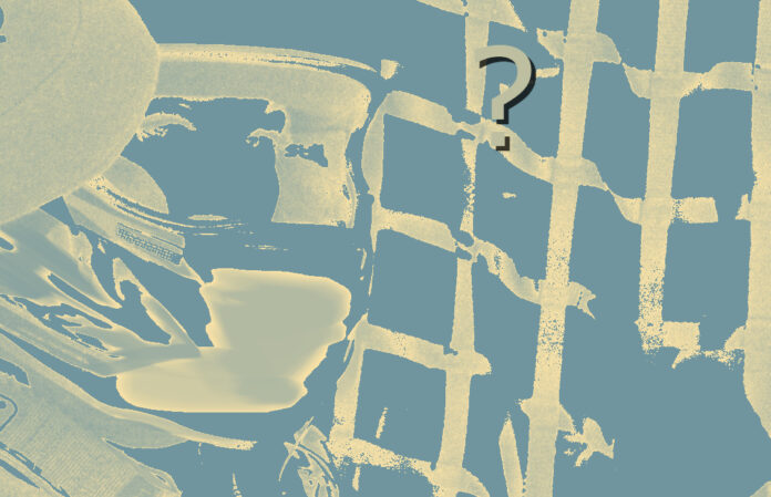 Az év magyar autóversenyzője