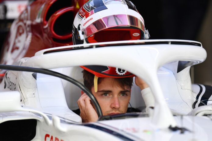 Leclerc, Sauber, halo