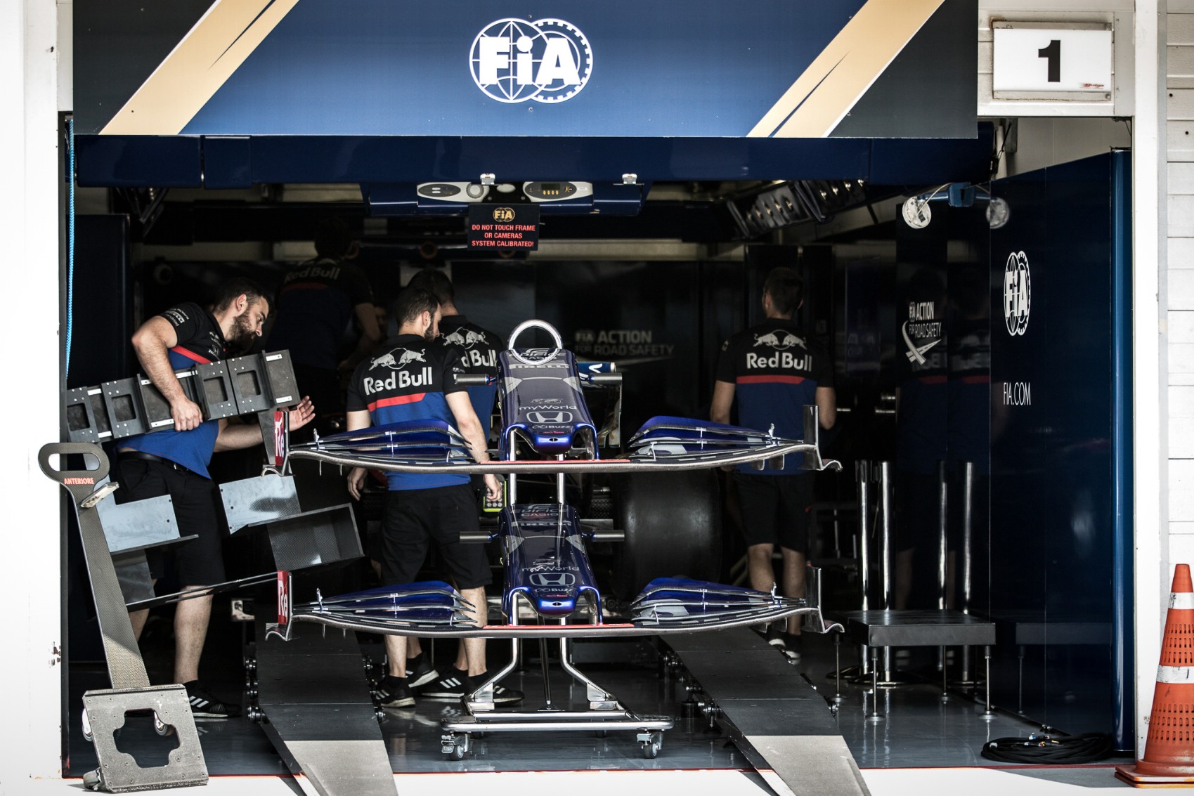 FIA, Toror Rosso