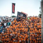 holland rajongók, fans