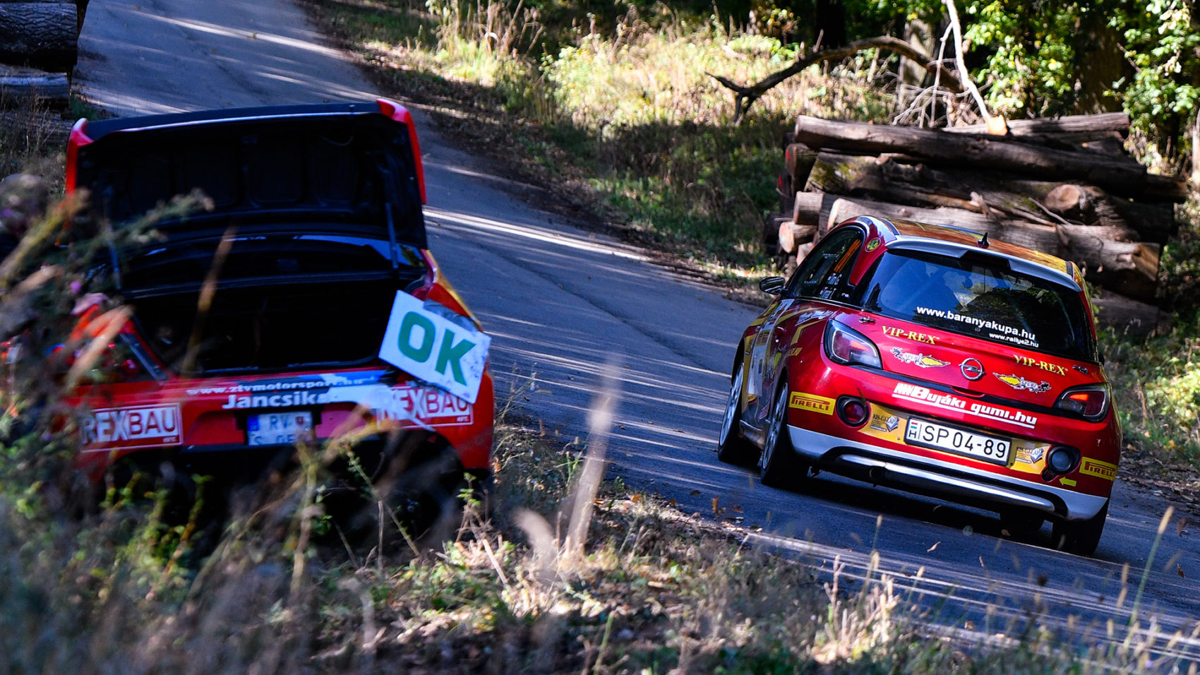 Tim Gábor a Rallye2 második helyén zárta az évet