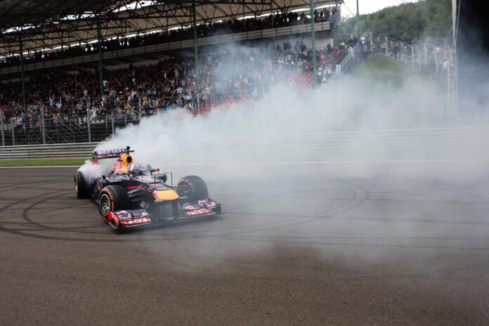 David Coulthard, fánk. puzzle