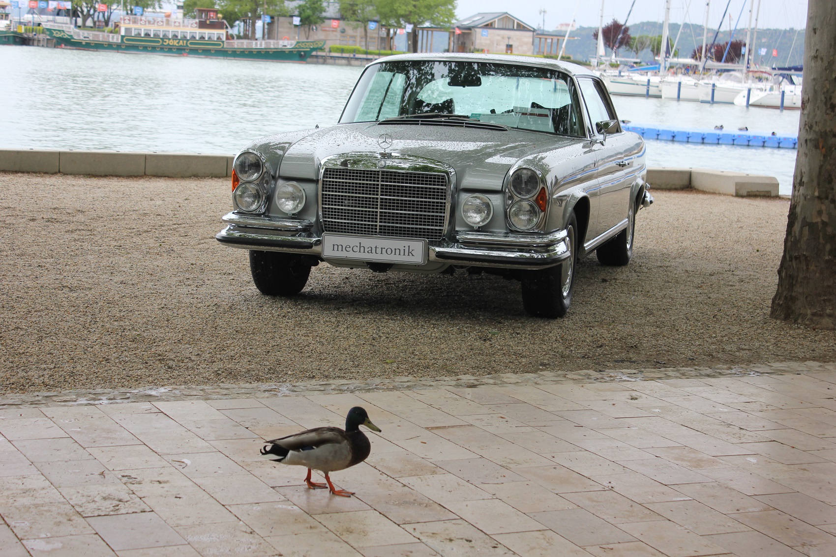 Balatonfüred Concours d'Elegance