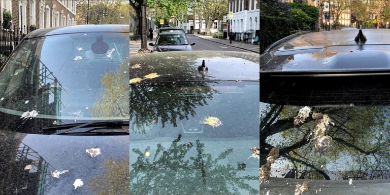 Ford, madárkaka, fényezés