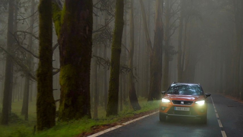 Lehullott falevelek, eső és köd: őszi kihívások az autózásban