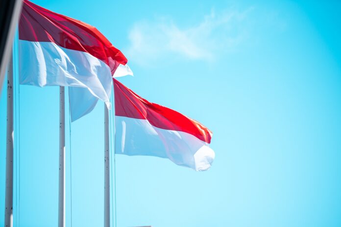 zászló, flag, Monaco, racingline.hu