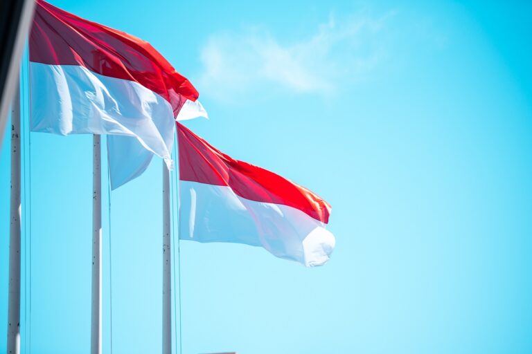 zászló, flag, Monaco, racingline.hu