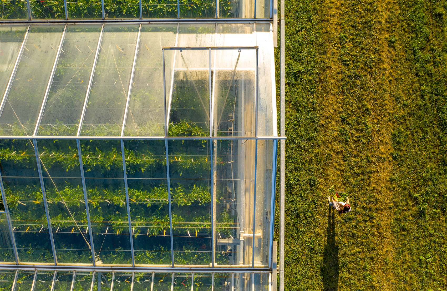 Planet Budapest 2021: a fenntartható technológiák határozzák meg a következő évtized gazdaságát