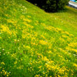 előzés, red bull ring, ált