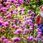 spa-francorchamps, rali