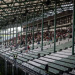 Hungaroring, fans, rajongók, tribün