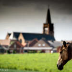 spa-francorchamps, rali