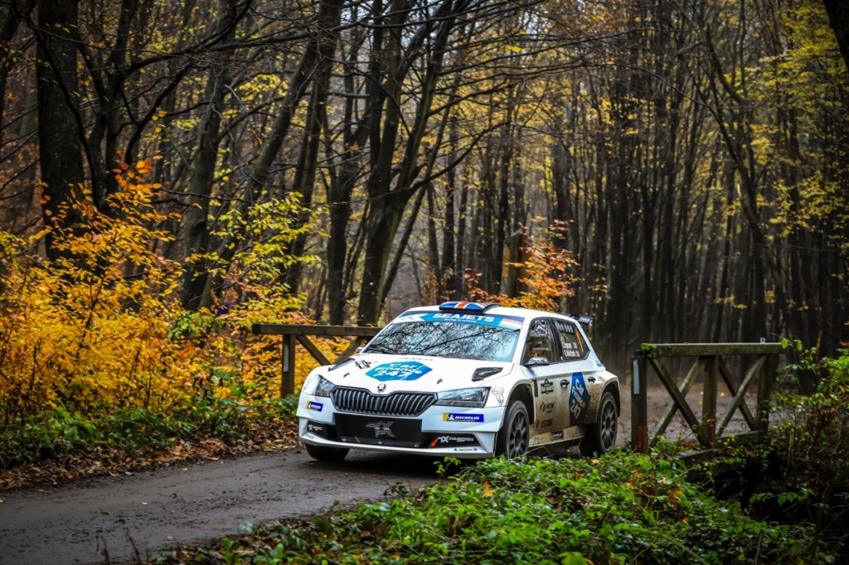 Chris Ingram–Ross Whittock, Rally Hungary 2019