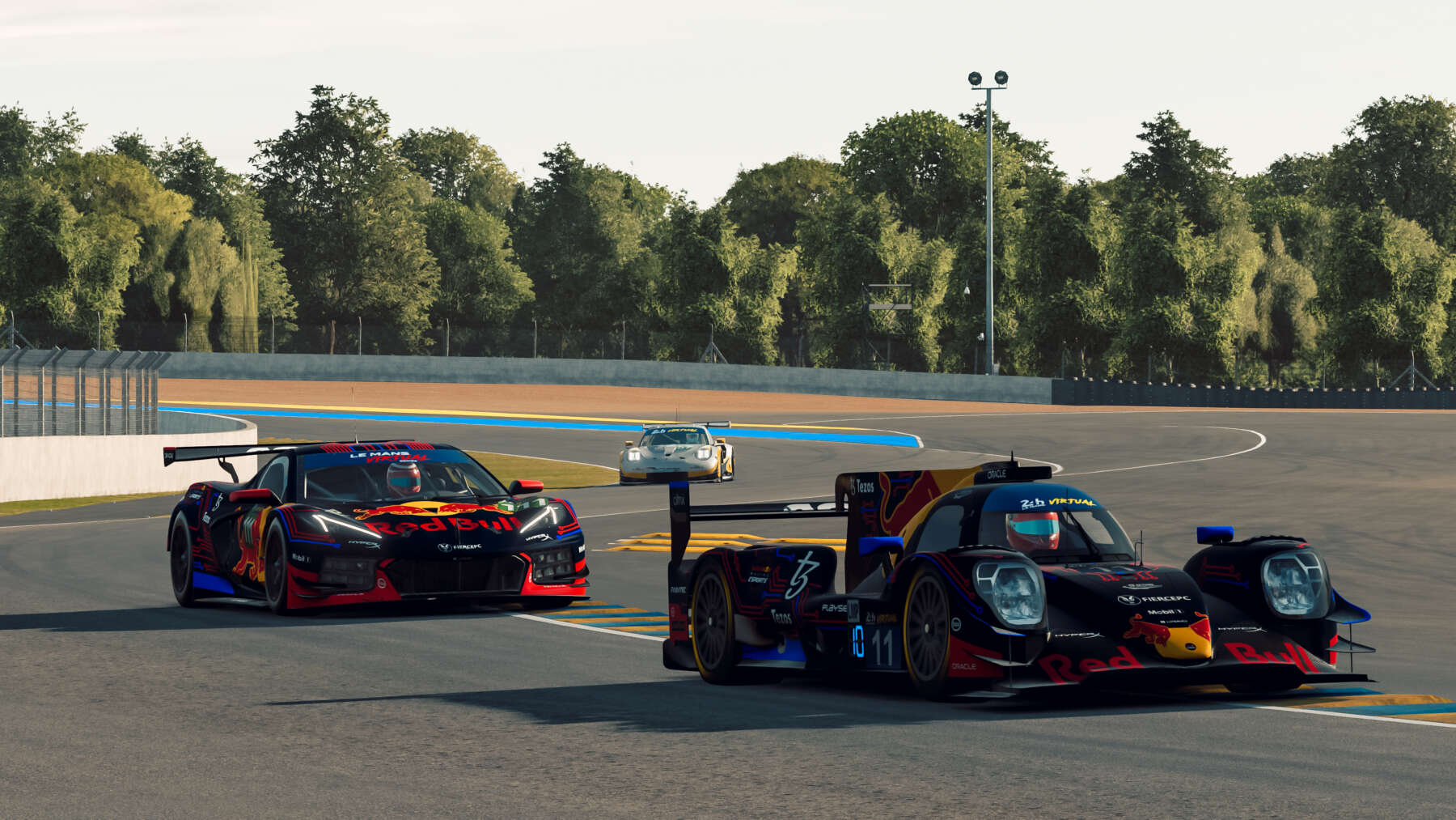 Kiss Norbi Red Bull Esports