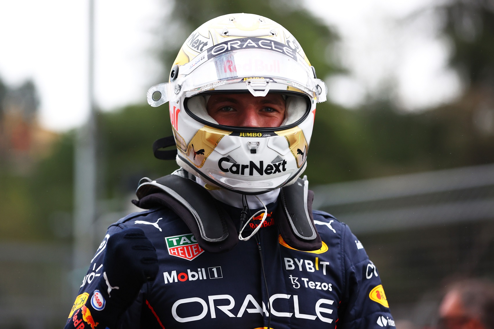 Max Verstappen, Red Bull