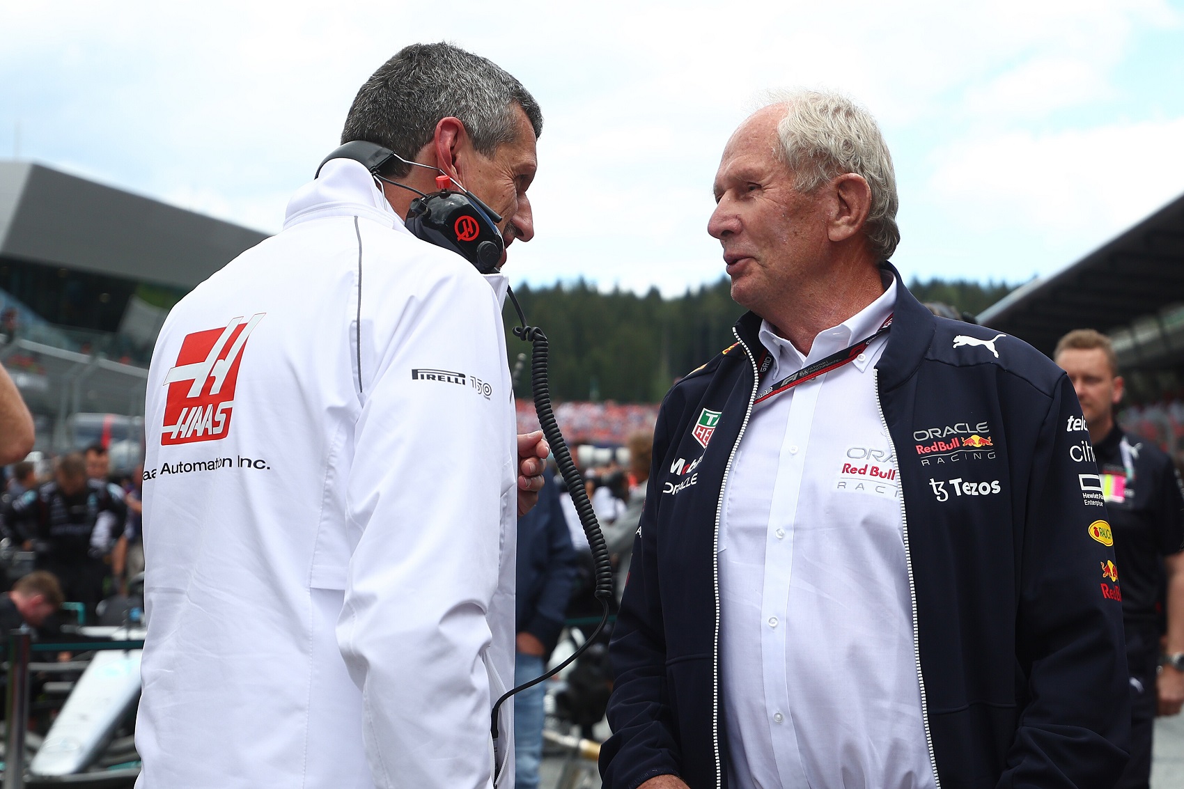 helmut marko, günther steiner