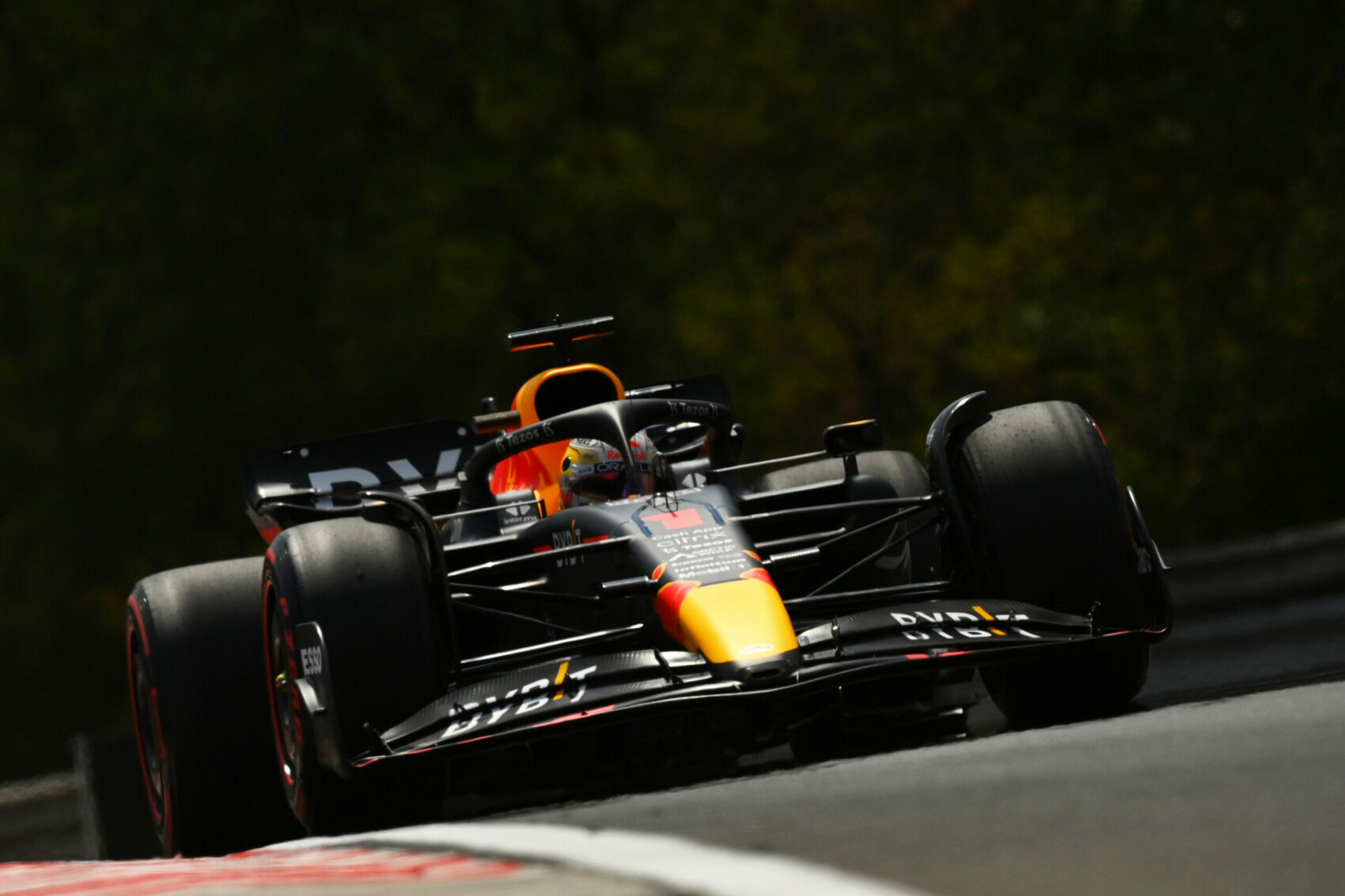 Max Verstappen, Red Bull