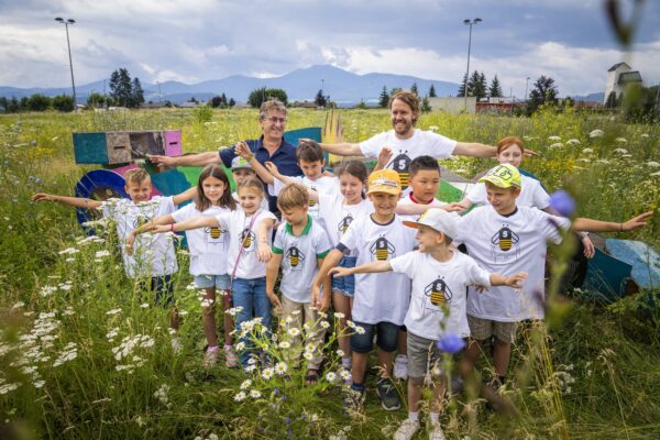 Biobienenapfel, méhlegelő, Sebastian Vettel