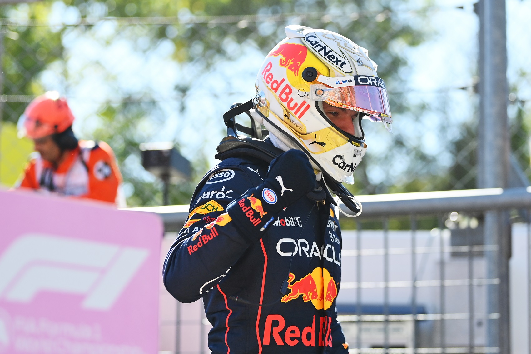 Max Verstappen, Red Bull