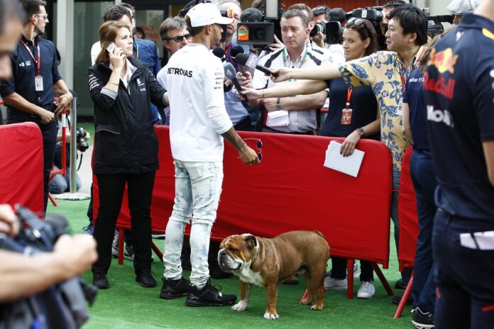 Lewis Hamilton, Roscoe, Mercedes, Hamilton kutyája