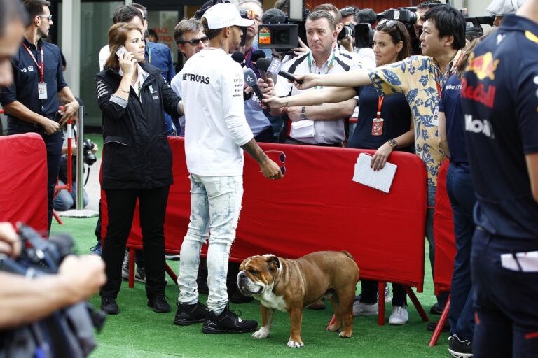 Lewis Hamilton, Roscoe, Mercedes, Hamilton kutyája