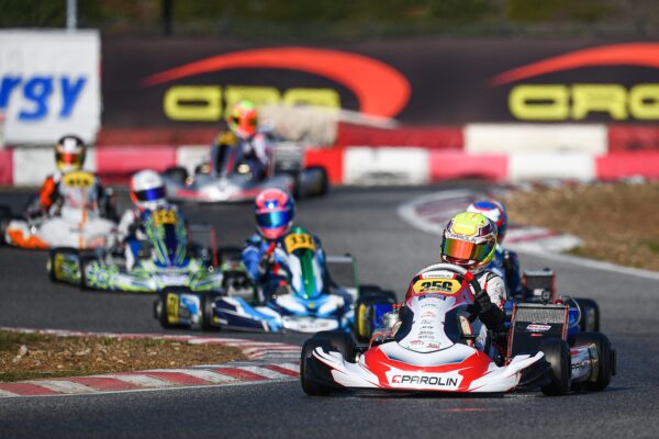 Gender Tamás Junior, MOTAM