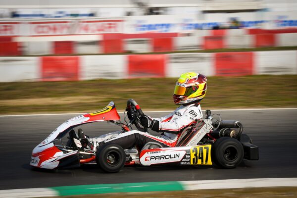 Gender Tamás Junior, MOTAM