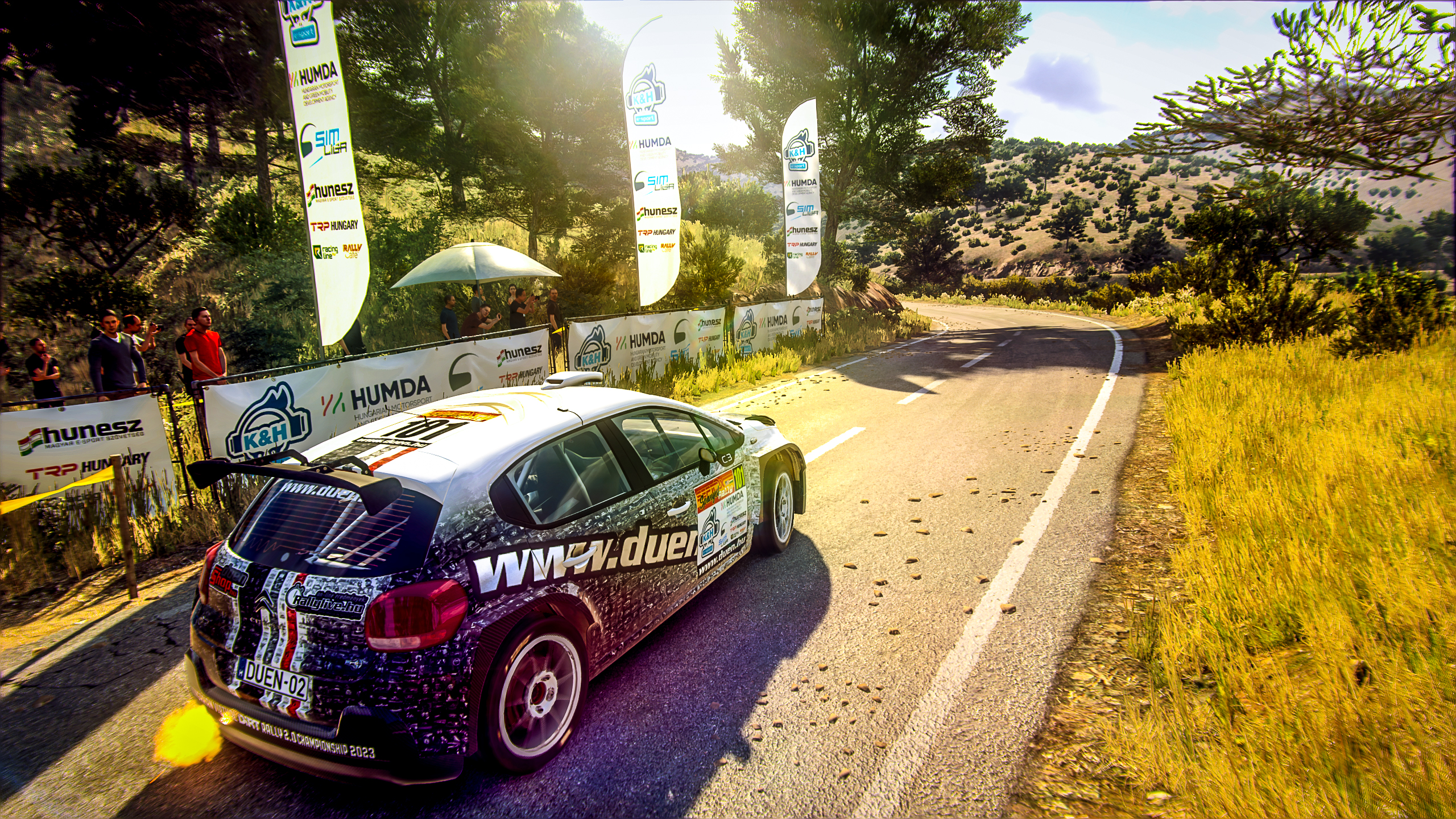 Dirt Rally 2 Screenshot, SIM Liga