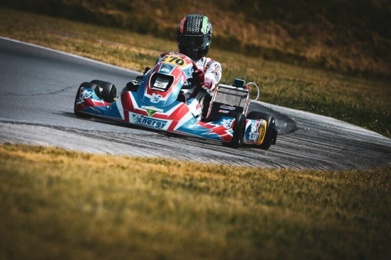 Gokart, Molnár Martin, Energy Corse, Champions of the Future Euro Series, Rodby, OK