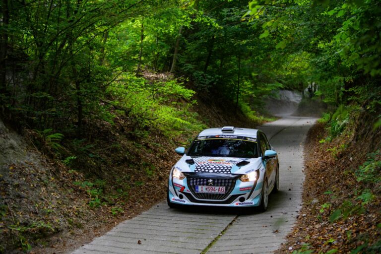 Herczig Patrik, Rally Hungary