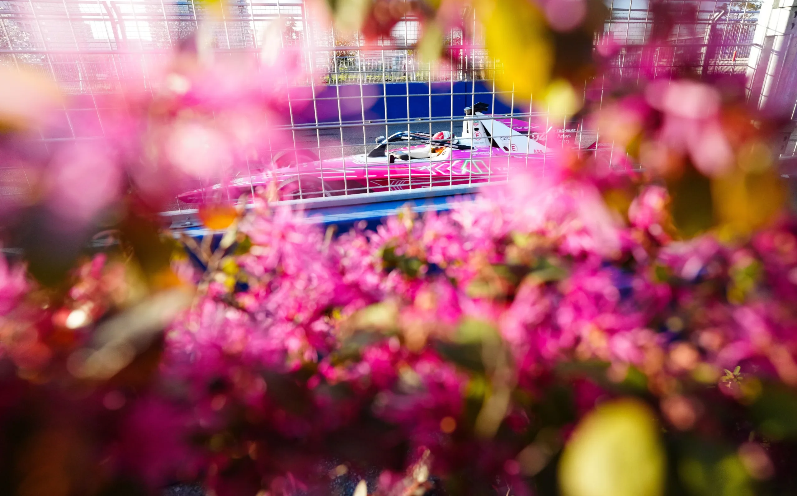 Legyőzték a japán csapatot és a cseresznyevirág színű autókat Tokió első versenyén
