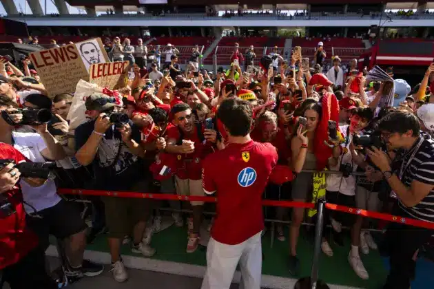 NE HASZN&Aacute;LD!!!