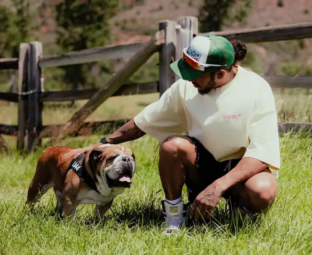 Hamilton vegán kutyáját elvitték egy látnokhoz, aki kiolvasta, hogy Roscoe csak egy kis szalonnát szeretne