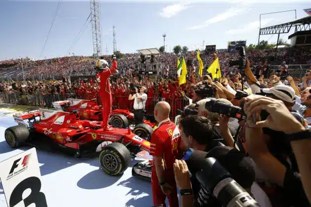 NE HASZN&Aacute;LD!!!