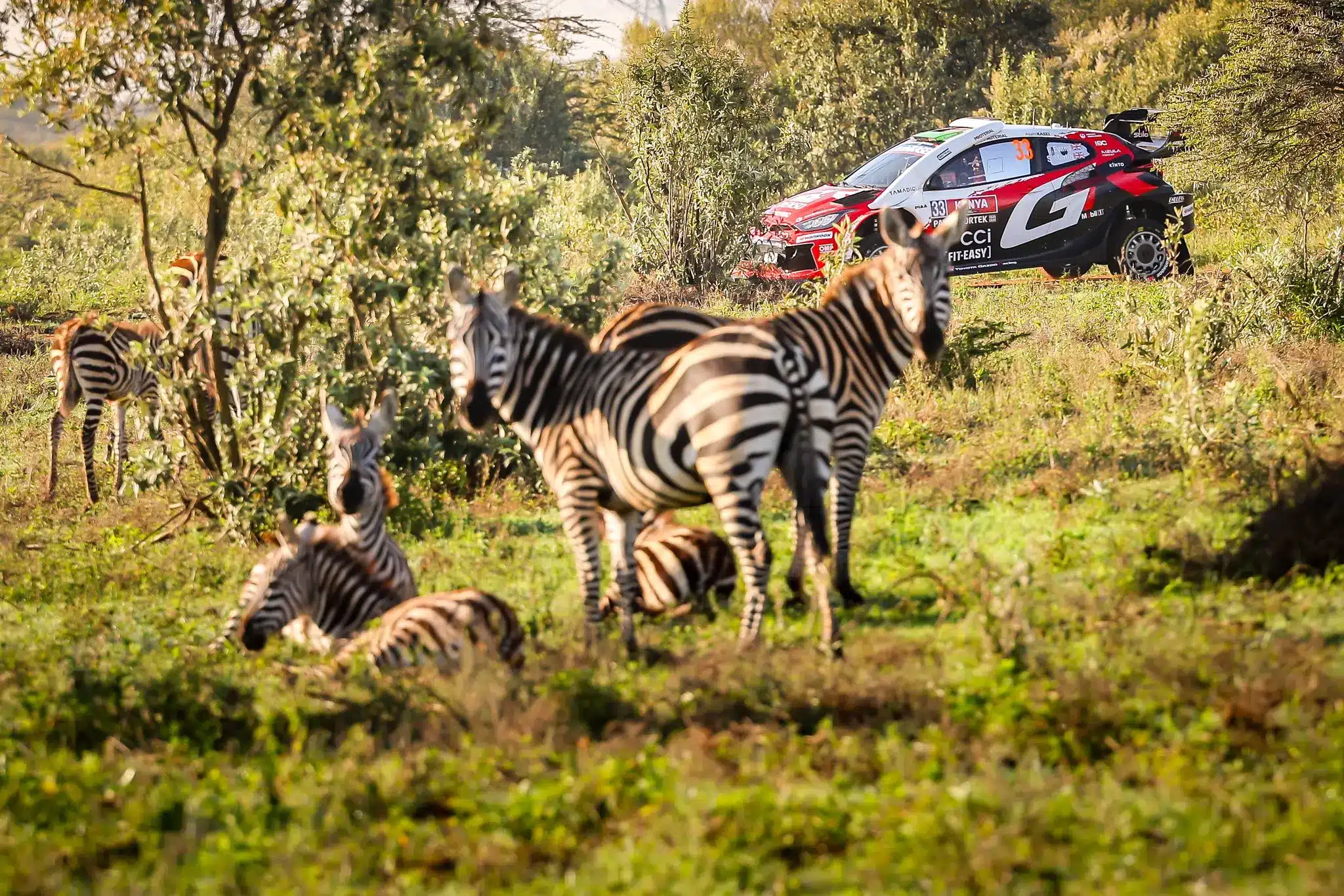 Defektek és állatok is problémát jelentettek a Szafari Rally ötödik szakaszán