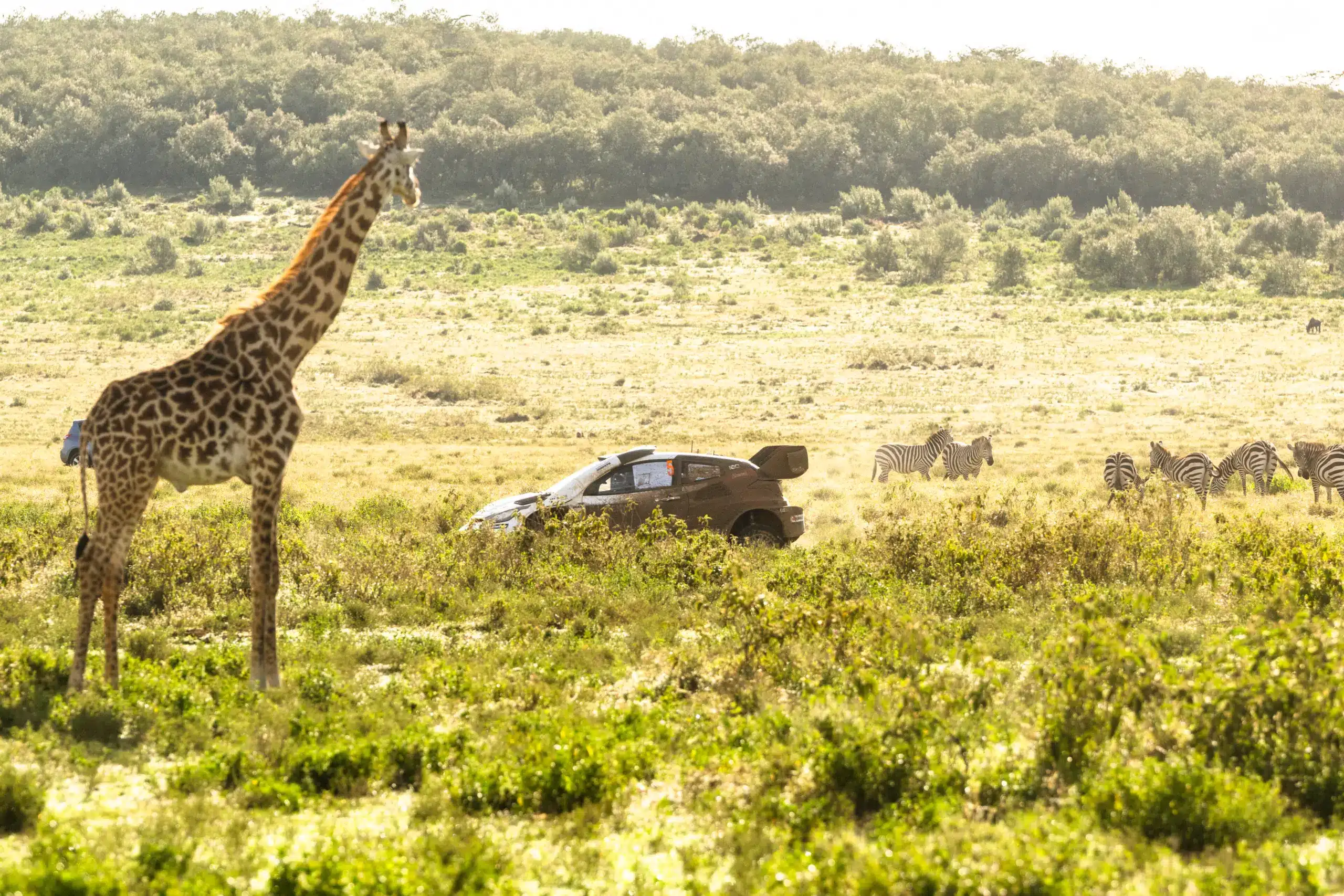 Pajari idén javítana tavalyi nagyszerű kenyai eredményén