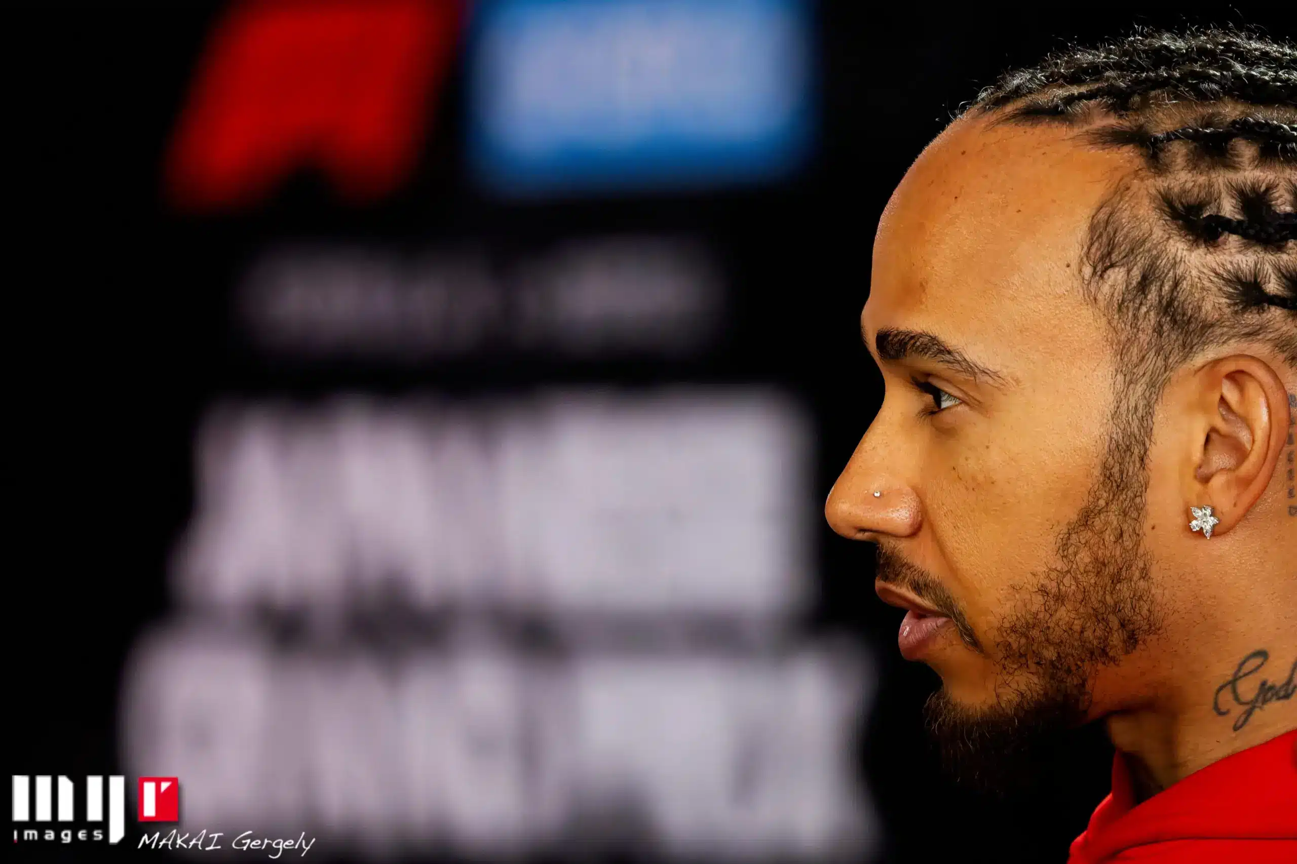 Hamilton úgy látja, minden riválisánál többet tesz azért, hogy sikeres legyen