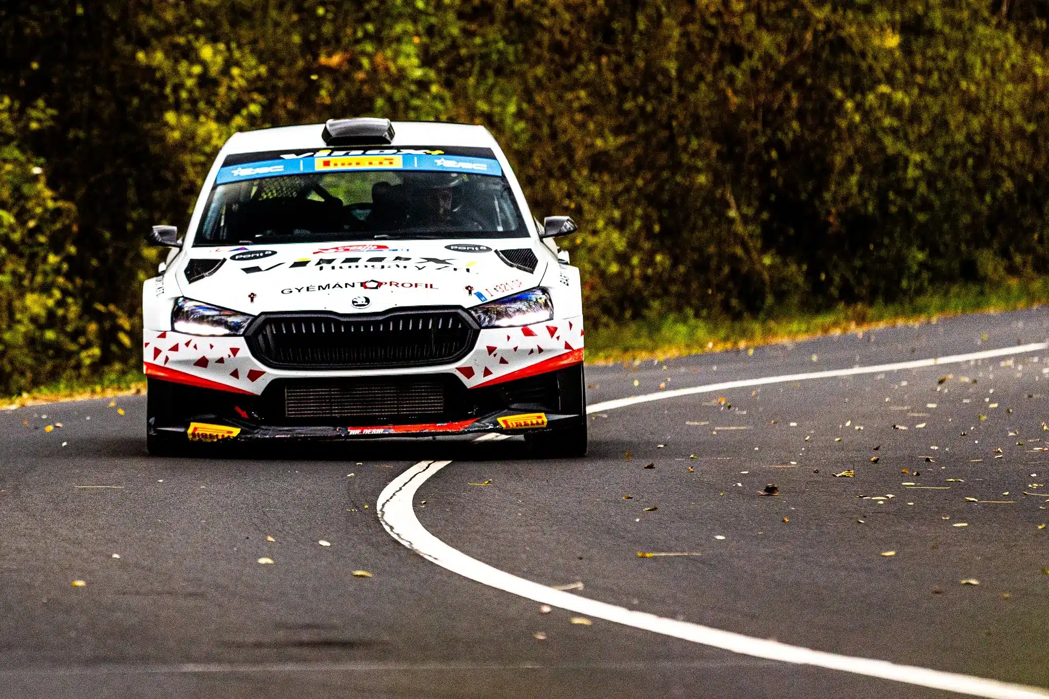 Megjelent a jövő heti Moldava Rally nevezési listája